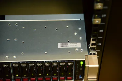 DSC_1351 (Large).JPG